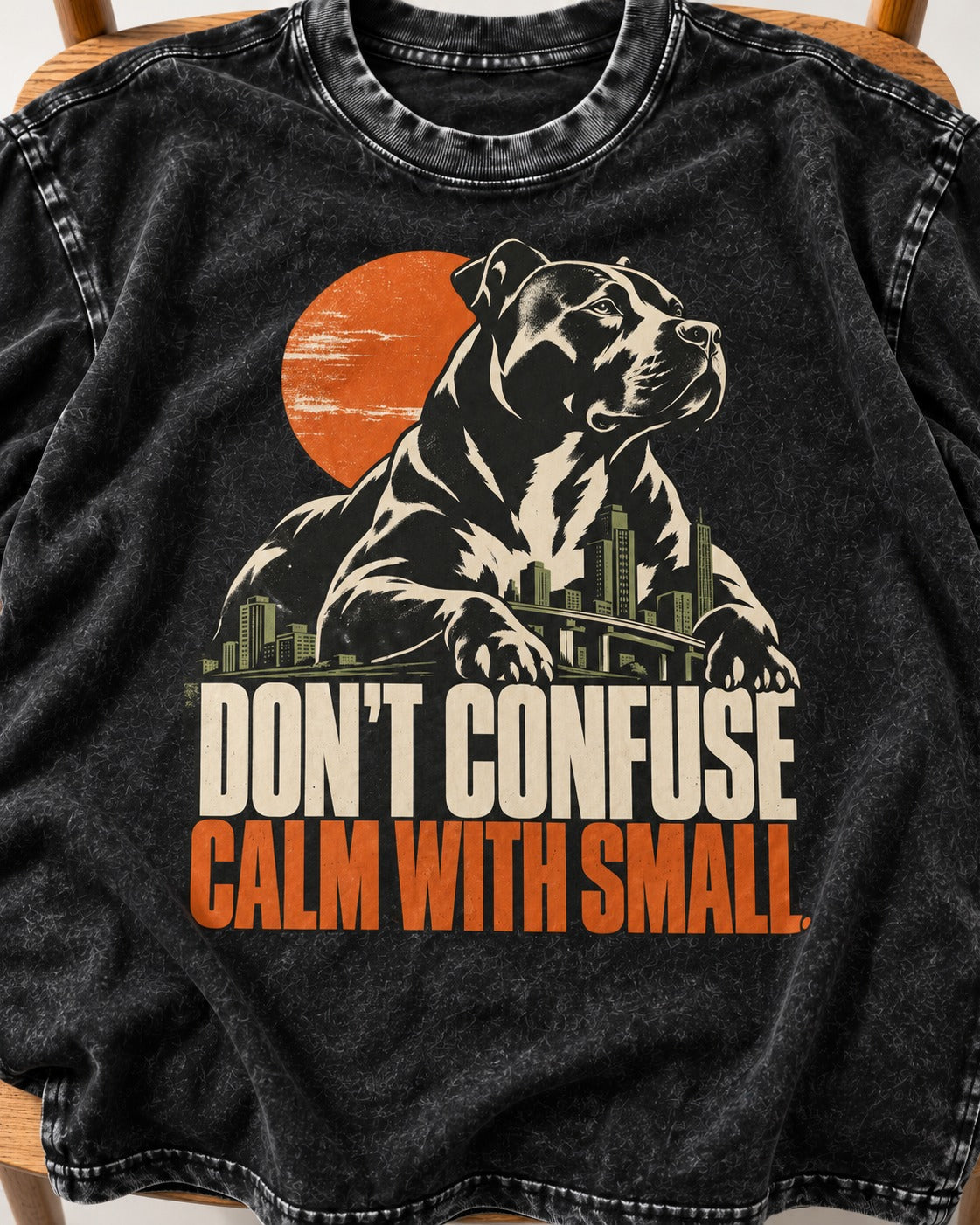 Pitbull Don't Confuse Calm with Small City Guardian Graphic Washed Tee in Black, close-up of the graphic