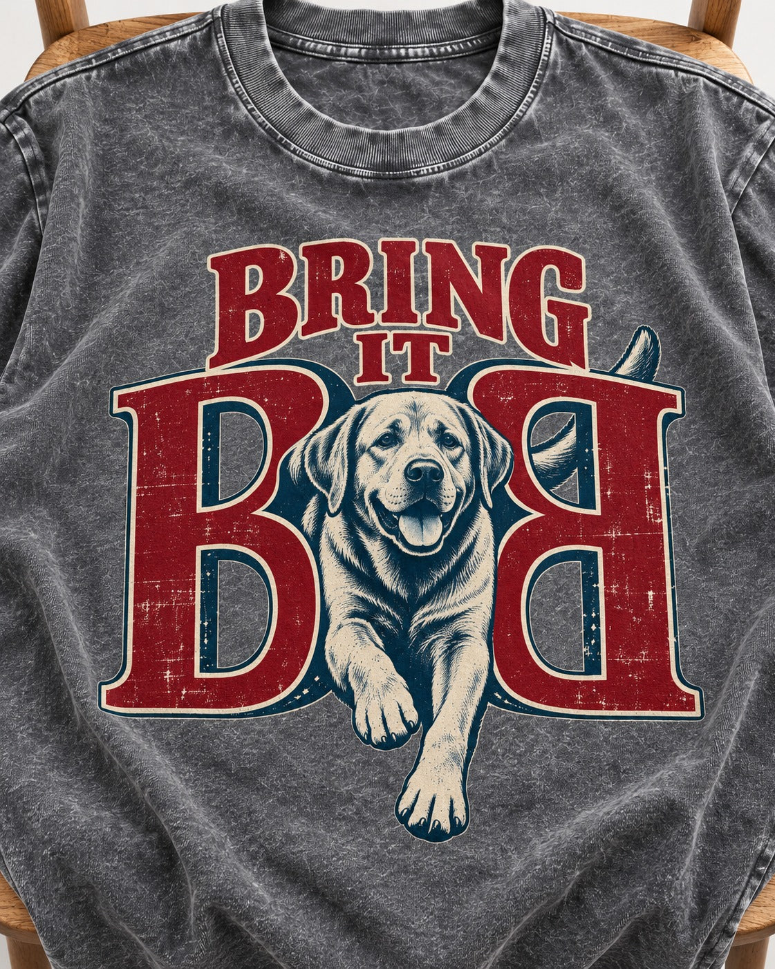 Labrador Retriever Bring It Opposing B Portrait Graphic Washed Tee in Gray, close-up of the graphic