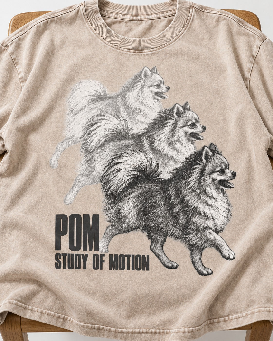 Pomeranian Study of Motion Washed Tee in Apricot, close-up of the graphic
