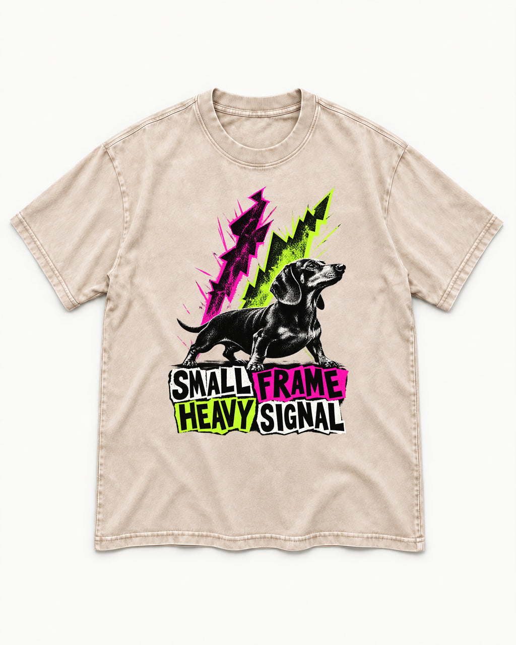 Dachshund Small Frame Heavy Signal Washed Tee in Apricot, flat lay product photo