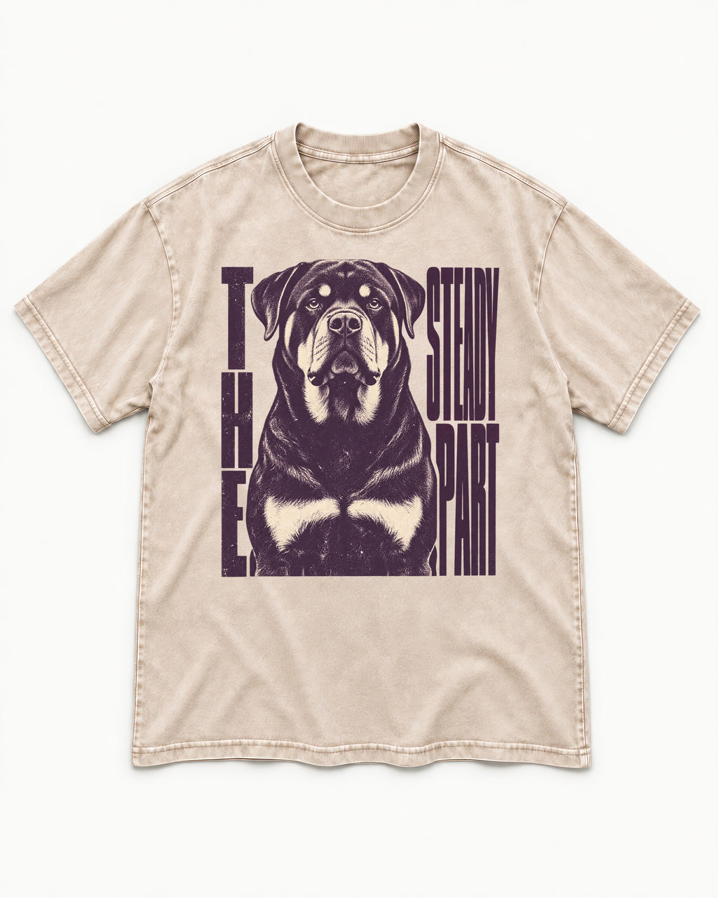 Rottweiler The Steady Part Washed Tee in Apricot, flat lay product photo