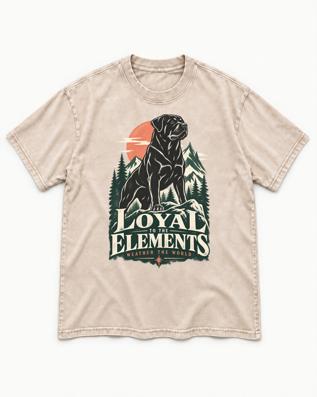 Rottweiler Loyal to the Elements Washed Tee in Apricot, flat lay product photo