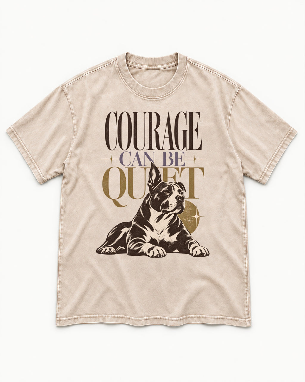 Pitbull Courage Can Be Quiet Washed Tee in Apricot, flat lay product photo