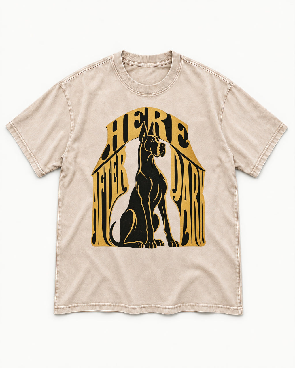 Great Dane Here After Dark Washed Tee in Apricot, flat lay product photo