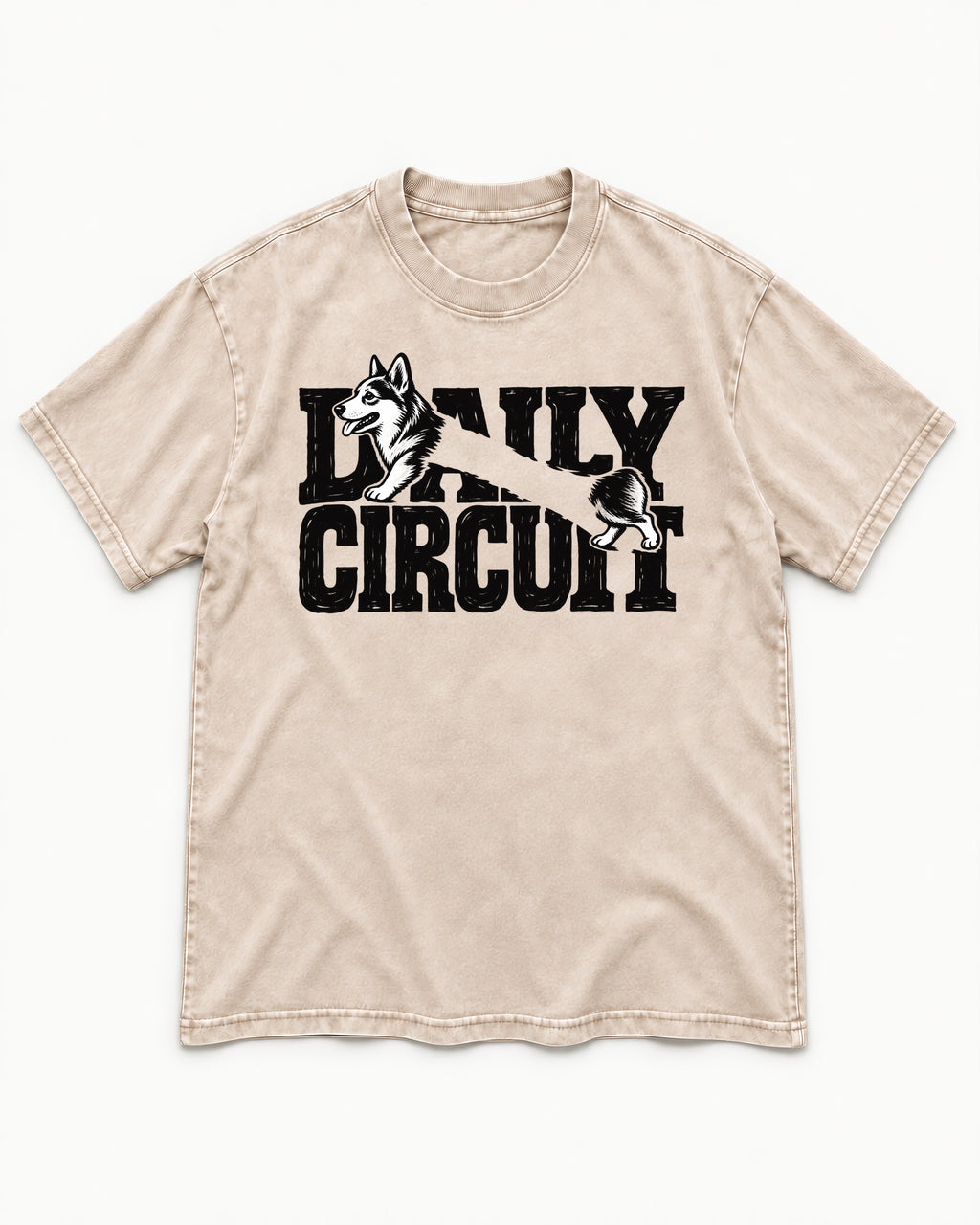 Daily Corgi Circuit Washed Tee in Apricot, flat lay product photo