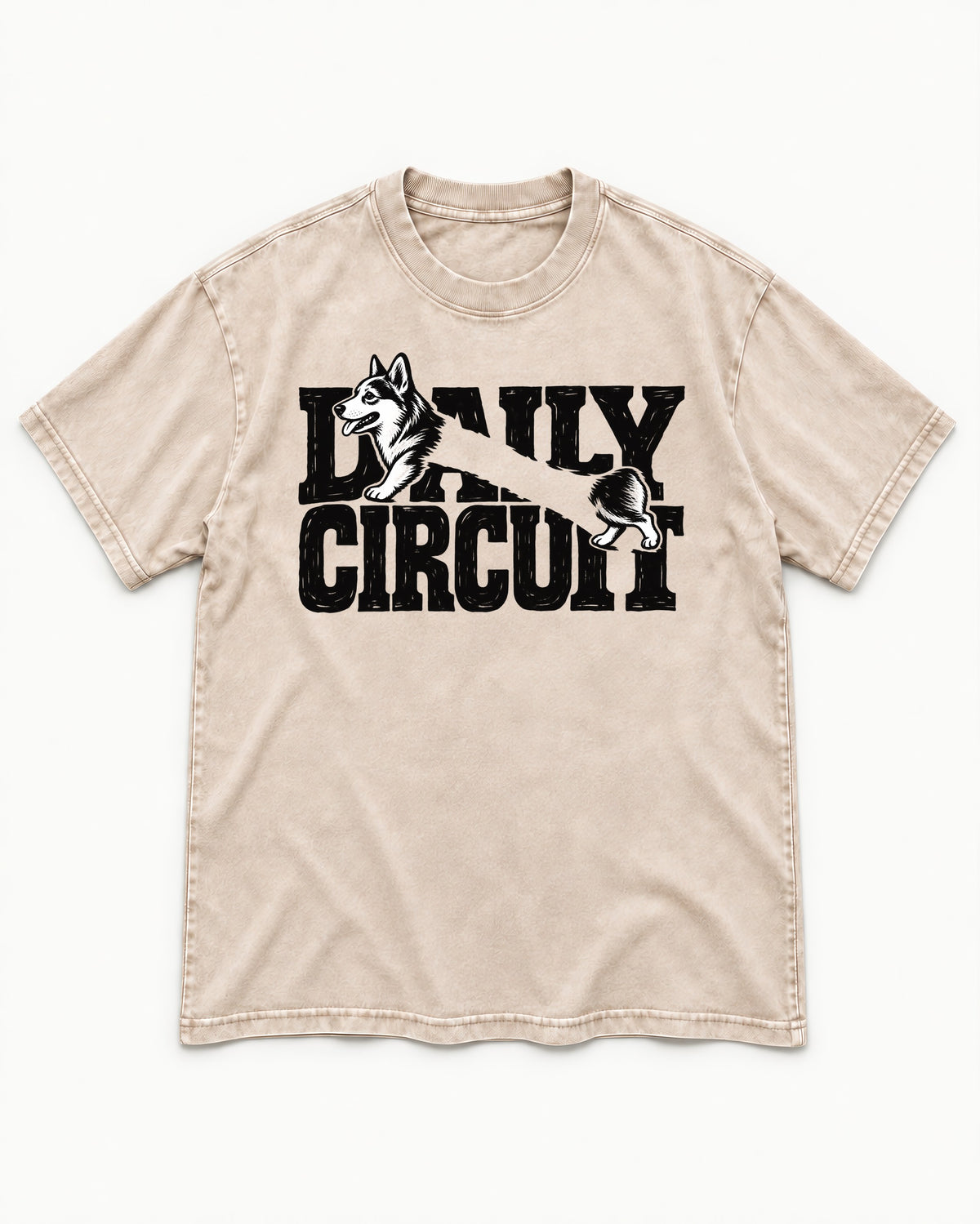 Daily Corgi Circuit Washed Tee in Apricot, flat lay product photo