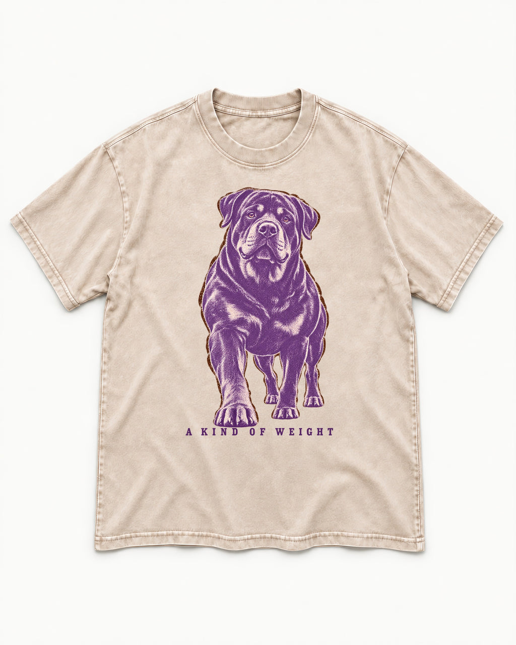 Rottweiler A Kind of Weight Washed Tee in Apricot, flat lay product photo