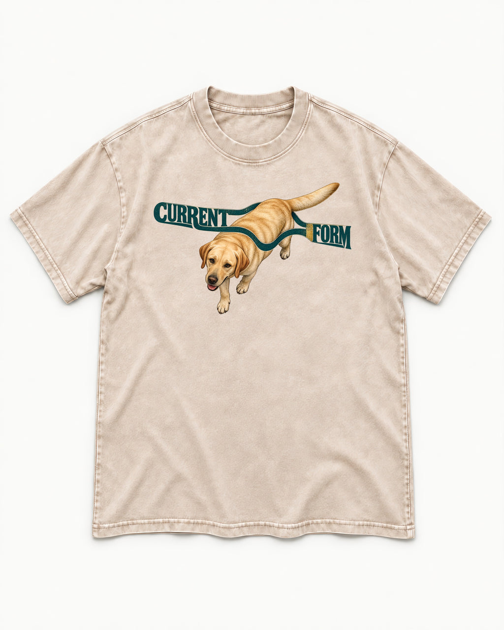 Labrador Retriever Current Form Washed Tee in Apricot, flat lay product photo