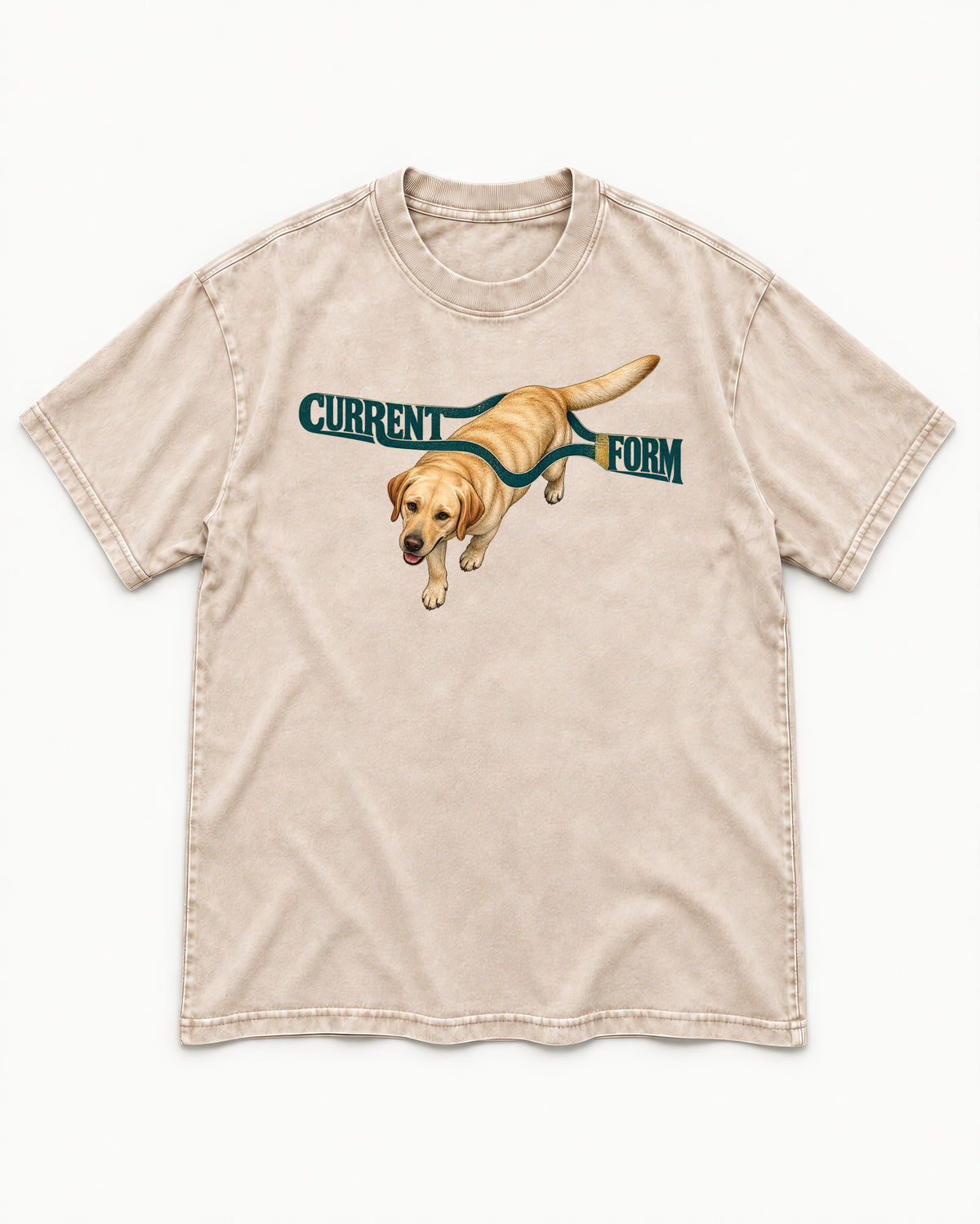 Labrador Retriever Current Form Washed Tee in Apricot, flat lay product photo