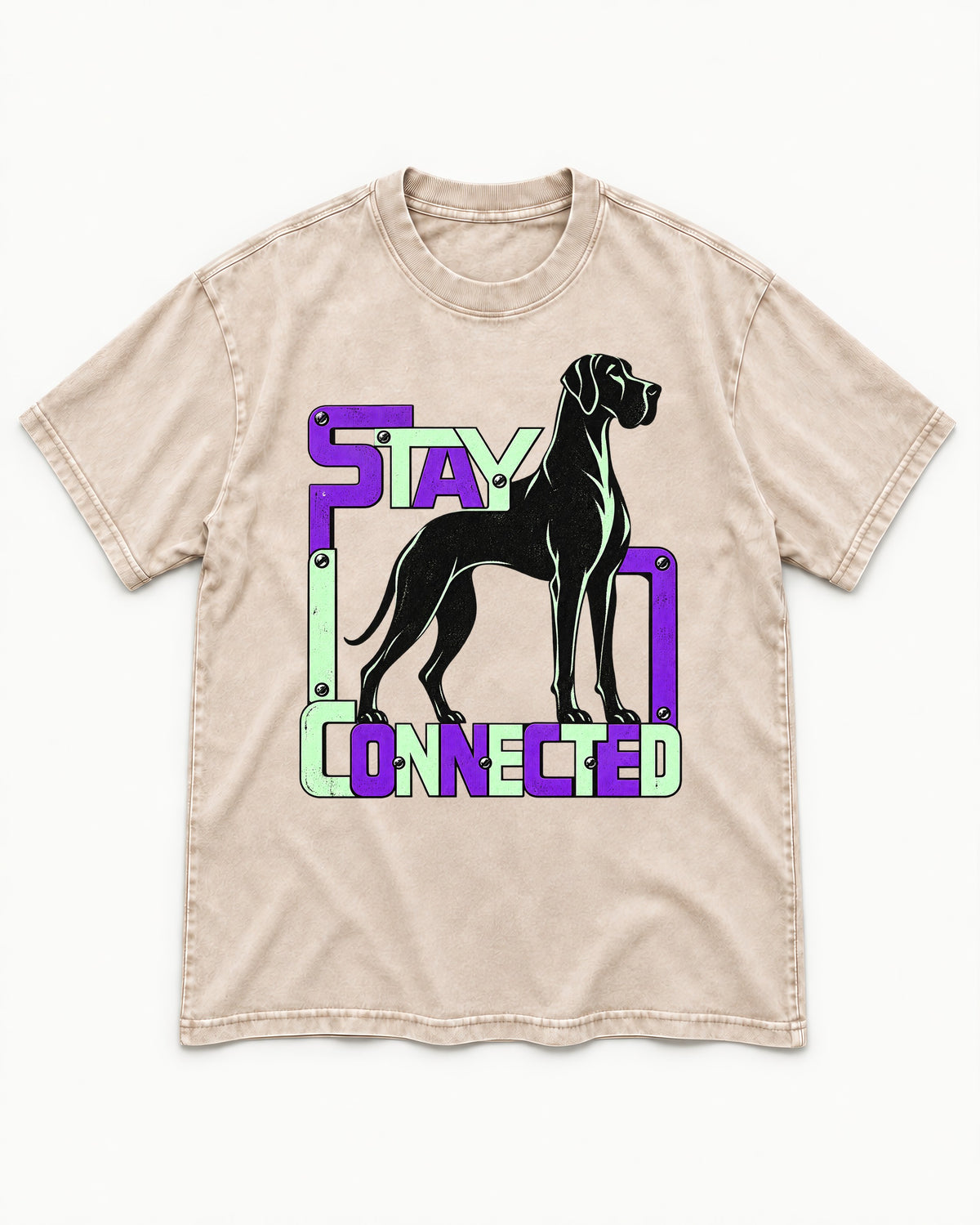 Great Dane Stay Connected Modular Frame Graphic Washed Tee in Apricot, flat lay product photo