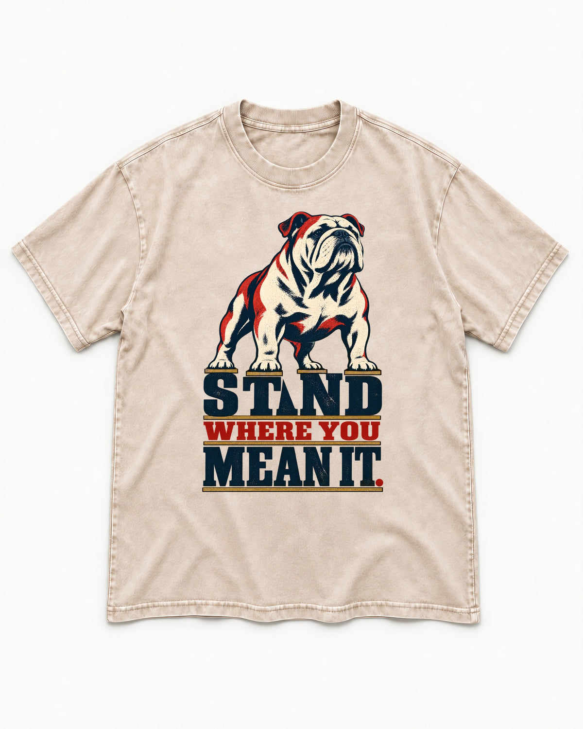 English Bulldog Stand Washed Tee in Apricot, flat lay product photo