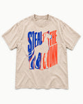 Steal the Show Great Dane Washed Tee in Apricot, flat lay product photo