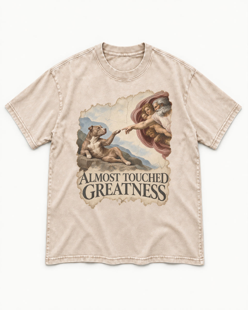 Pitbull Almost Touched Greatness Creation Parody Graphic Washed Tee in Apricot, flat lay product photo