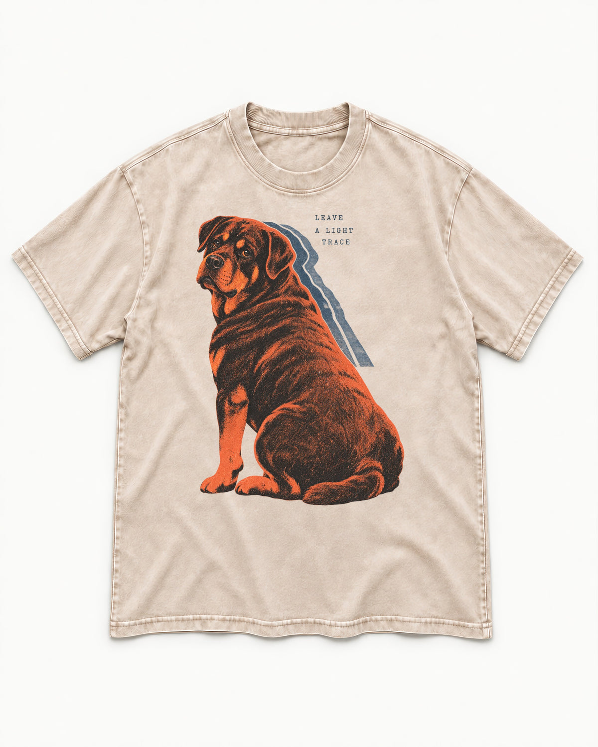 Rottweiler Leave a Light Trace Washed Tee in Apricot, flat lay product photo