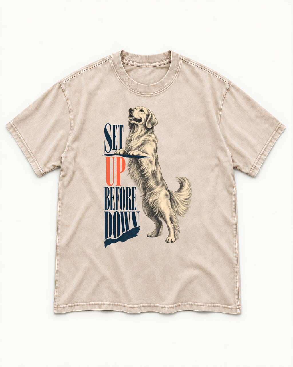 Golden Retriever Set Up Before Down Washed Tee in Apricot, flat lay product photo