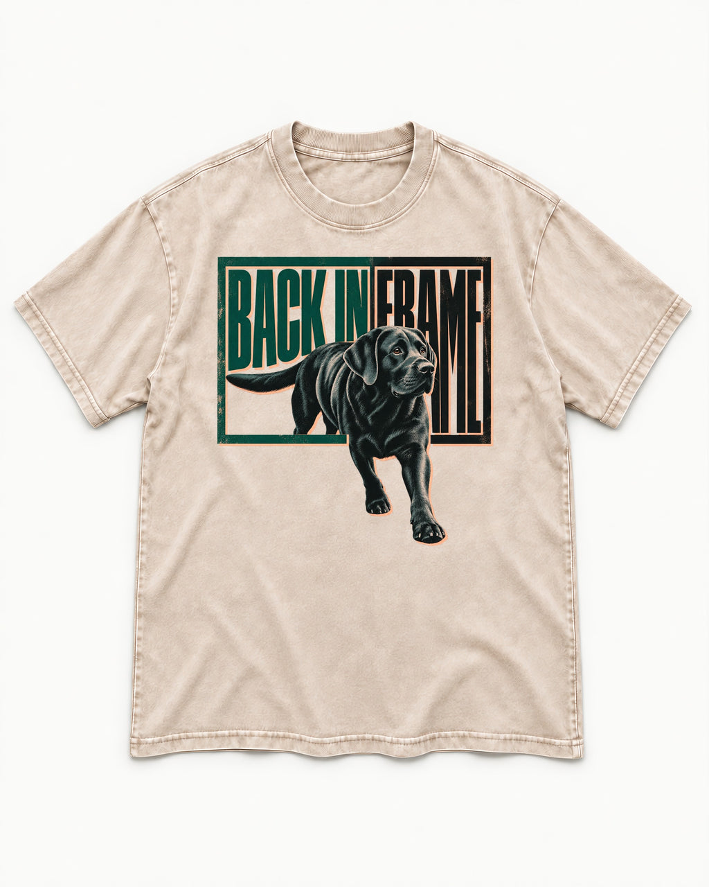 Labrador Retriever Back in Frame Washed Tee in Apricot, flat lay product photo