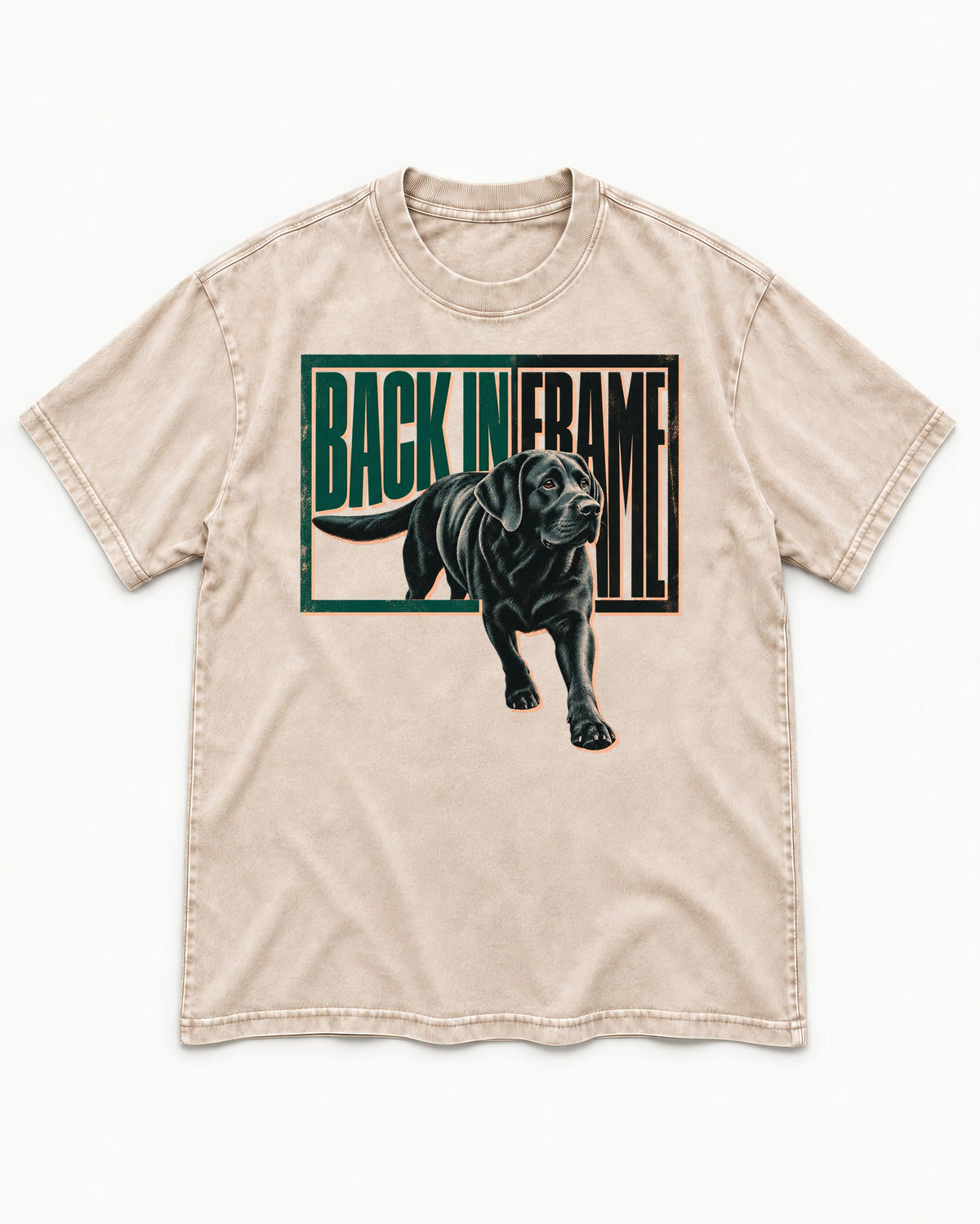 Labrador Retriever Back in Frame Washed Tee in Apricot, flat lay product photo