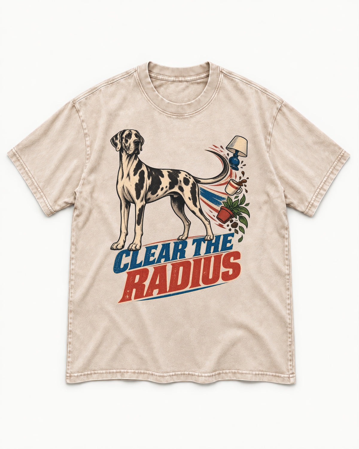 Great Dane Clear the Radius Washed Tee in Apricot, flat lay product photo