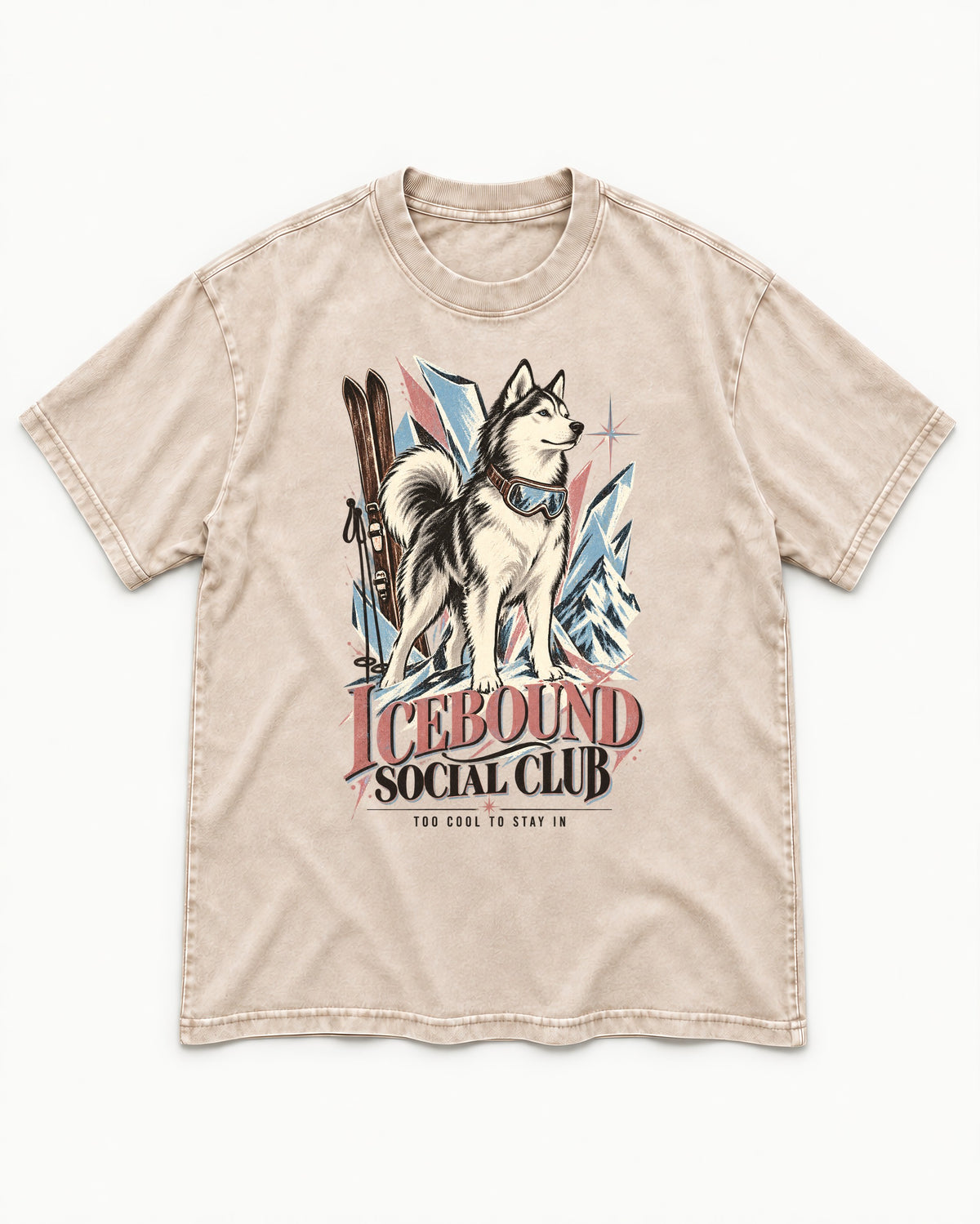Icebound Husky Washed Tee in Apricot, flat lay product photo
