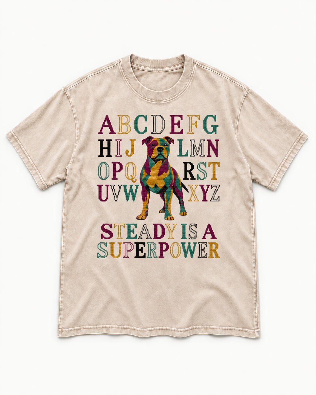 Pitbull Steady Is a Superpower Alphabet Graphic Washed Tee in Apricot, flat lay product photo