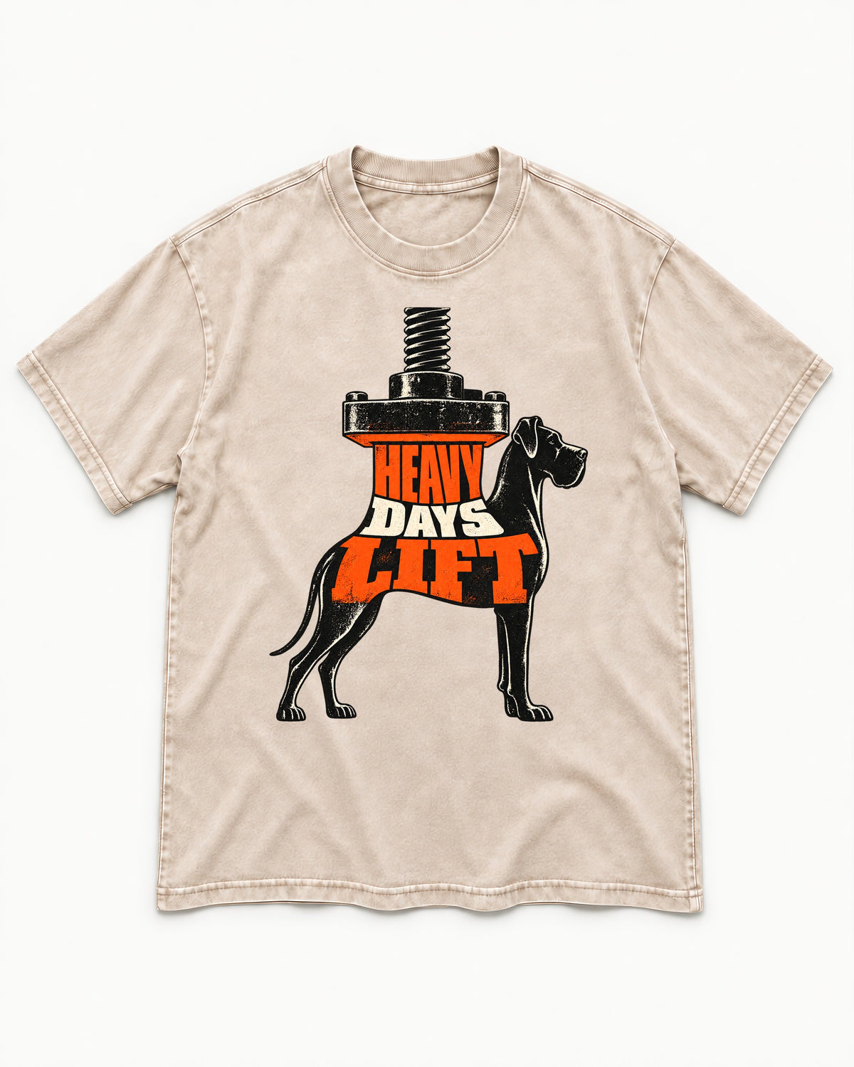 Great Dane Heavy Days Lift Washed Tee in Apricot, flat lay product photo