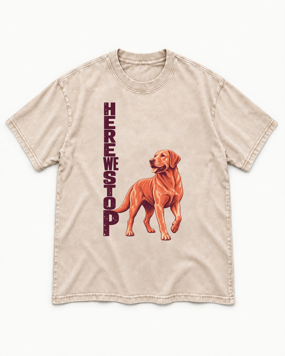 Here We Stop Labrador Retriever Washed Tee in Apricot, flat lay product photo