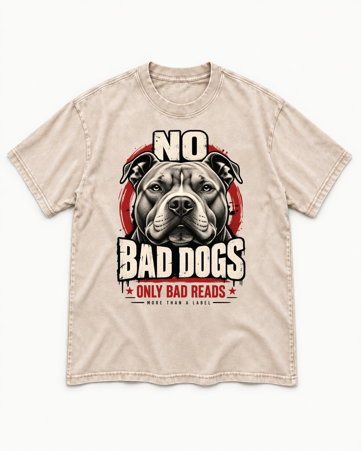 Pitbull Only Bad Reads Washed Tee in Apricot, flat lay product photo