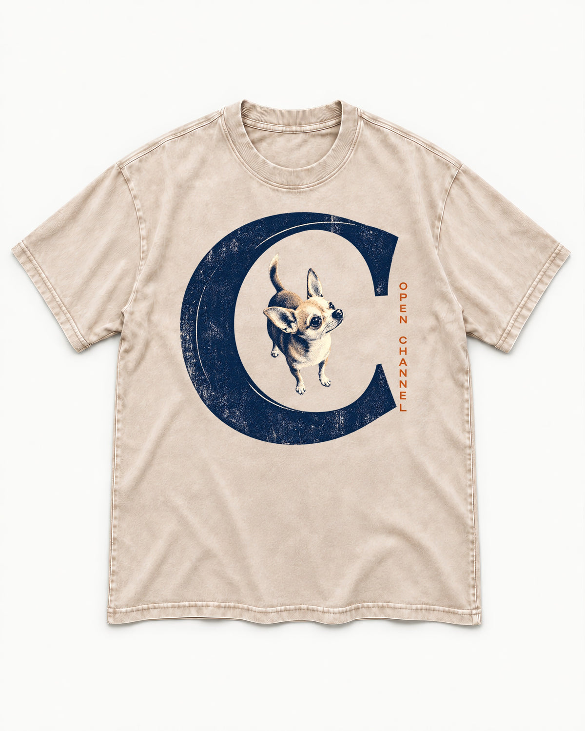 Chihuahua Open Channel Washed Tee in Apricot, flat lay product photo