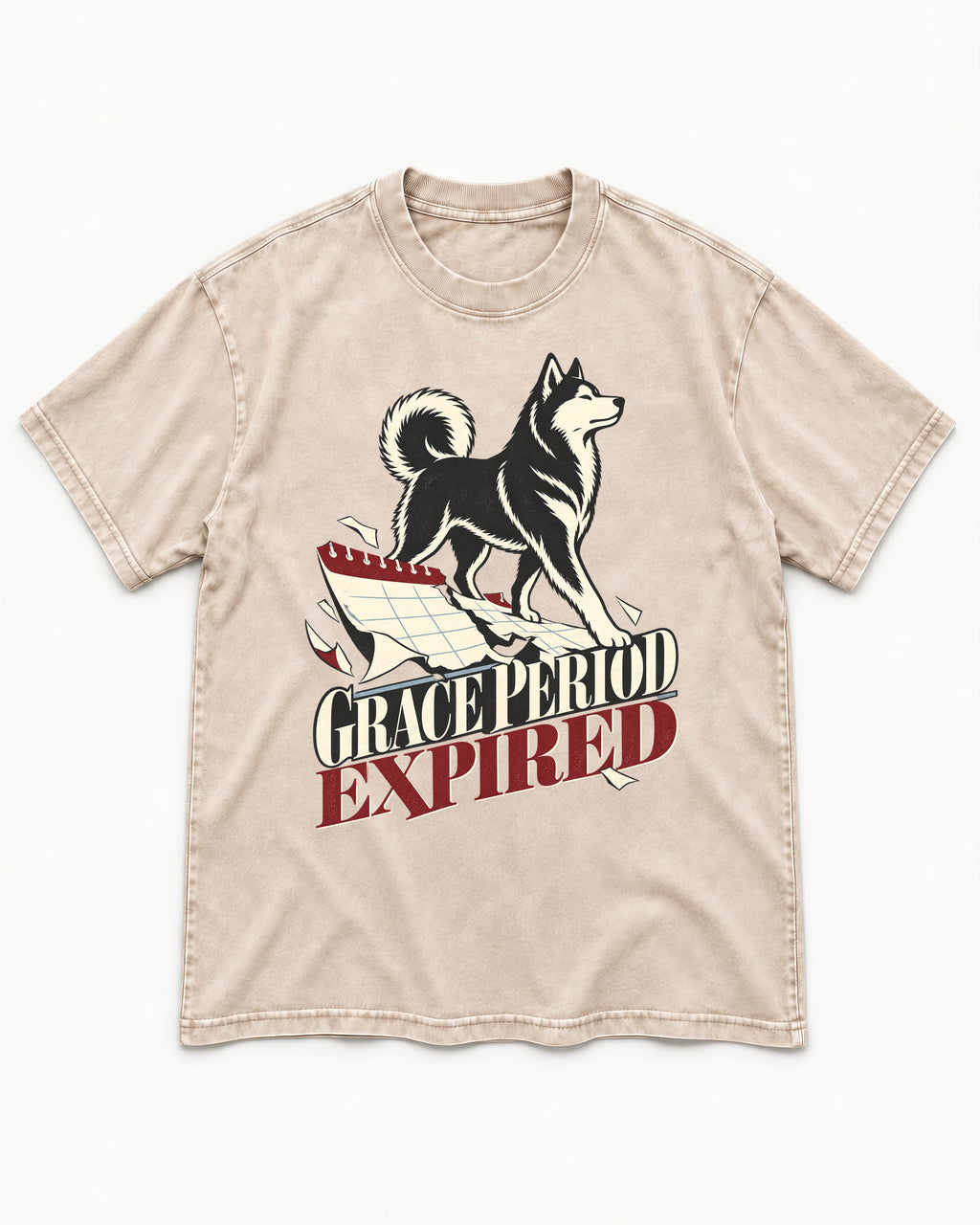 Husky Grace Period Expired Torn Calendar Graphic Washed Tee in Apricot, flat lay product photo