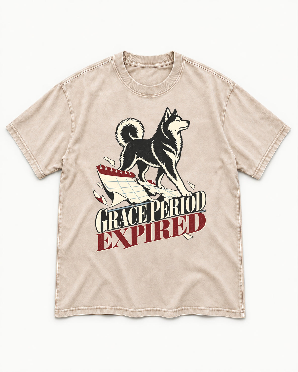 Husky Grace Period Expired Torn Calendar Graphic Washed Tee in Apricot, flat lay product photo