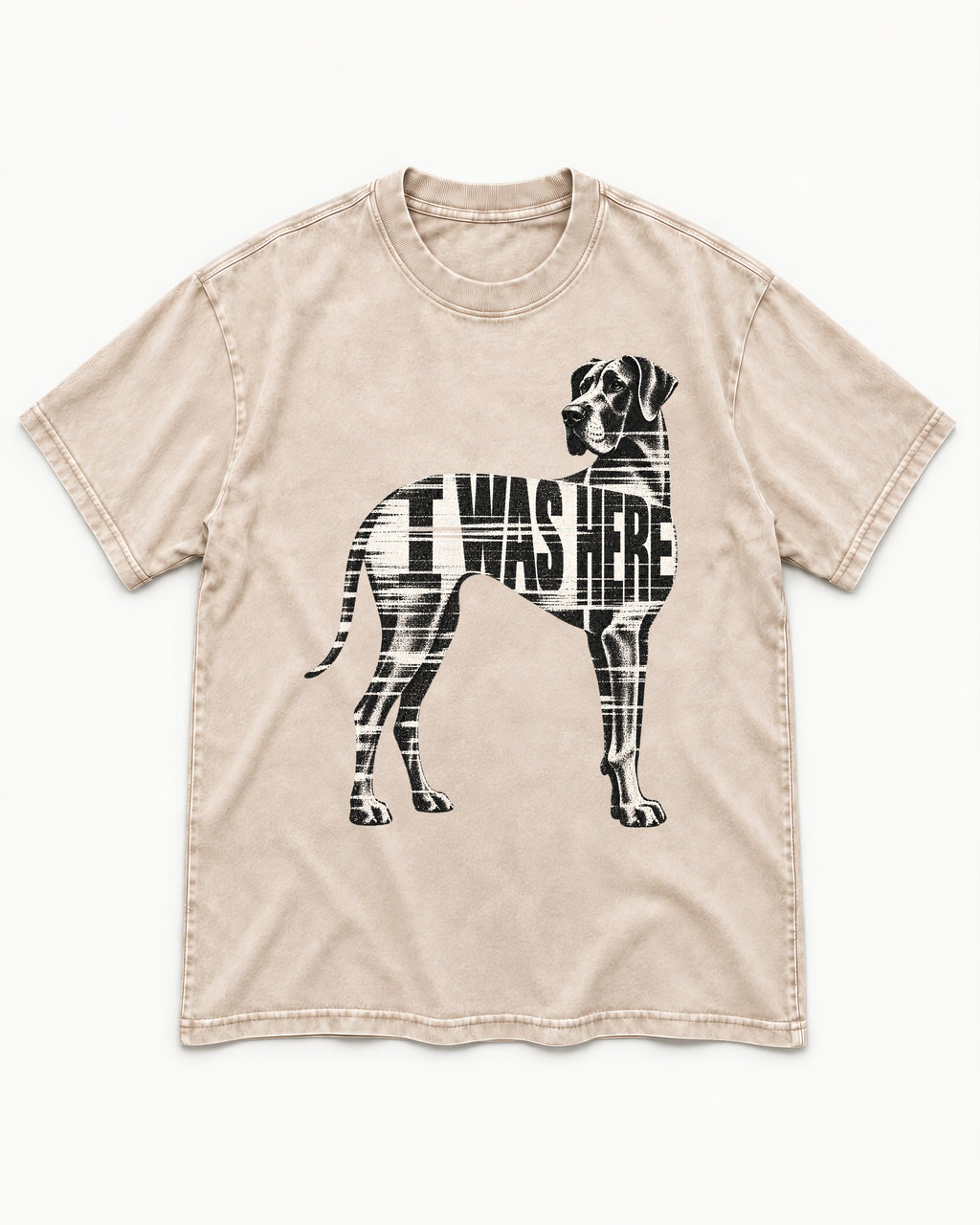 Great Dane I Was Here Plaid Silhouette Graphic Washed Tee in Apricot, flat lay product photo