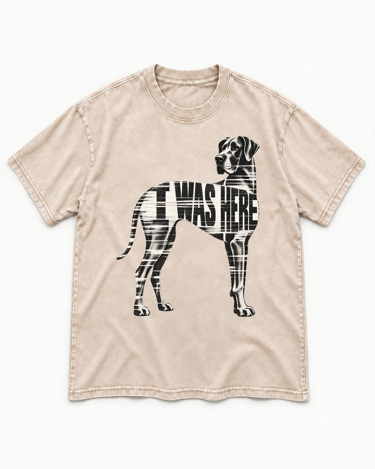 Great Dane I Was Here Plaid Silhouette Graphic Washed Tee in Apricot, flat lay product photo