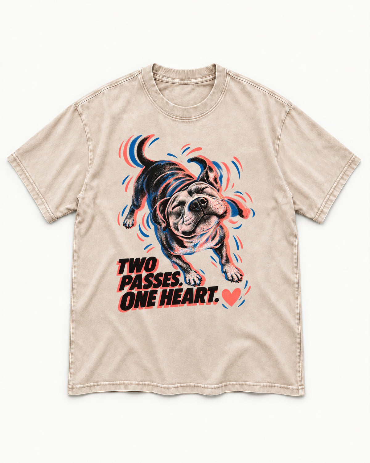 Two Passes One Heart Pitbull Washed Tee in Apricot, flat lay product photo