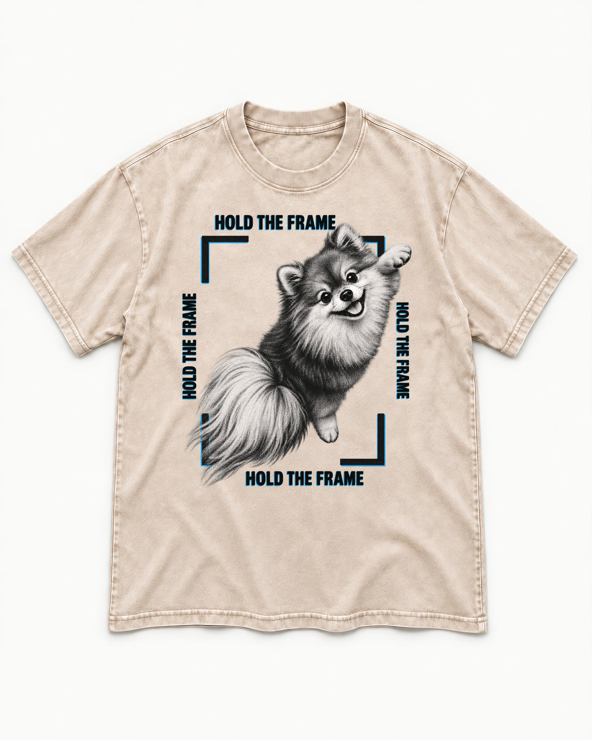 Hold the Frame Pomeranian Washed Tee in Apricot, flat lay product photo