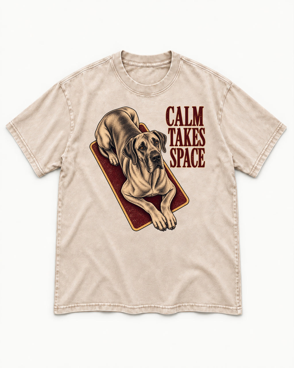 Great Dane Calm Takes Space Washed Tee in Apricot, flat lay product photo