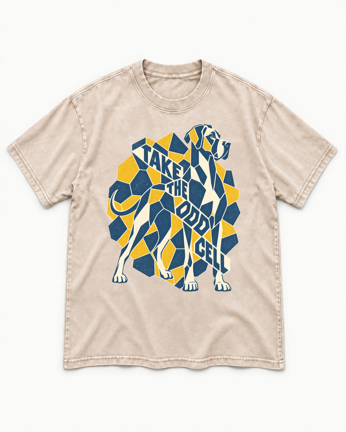 Take the Odd Cell Great Dane Washed Tee in Apricot, flat lay product photo