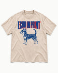 Chihuahua Echo Washed Tee in Apricot, flat lay product photo