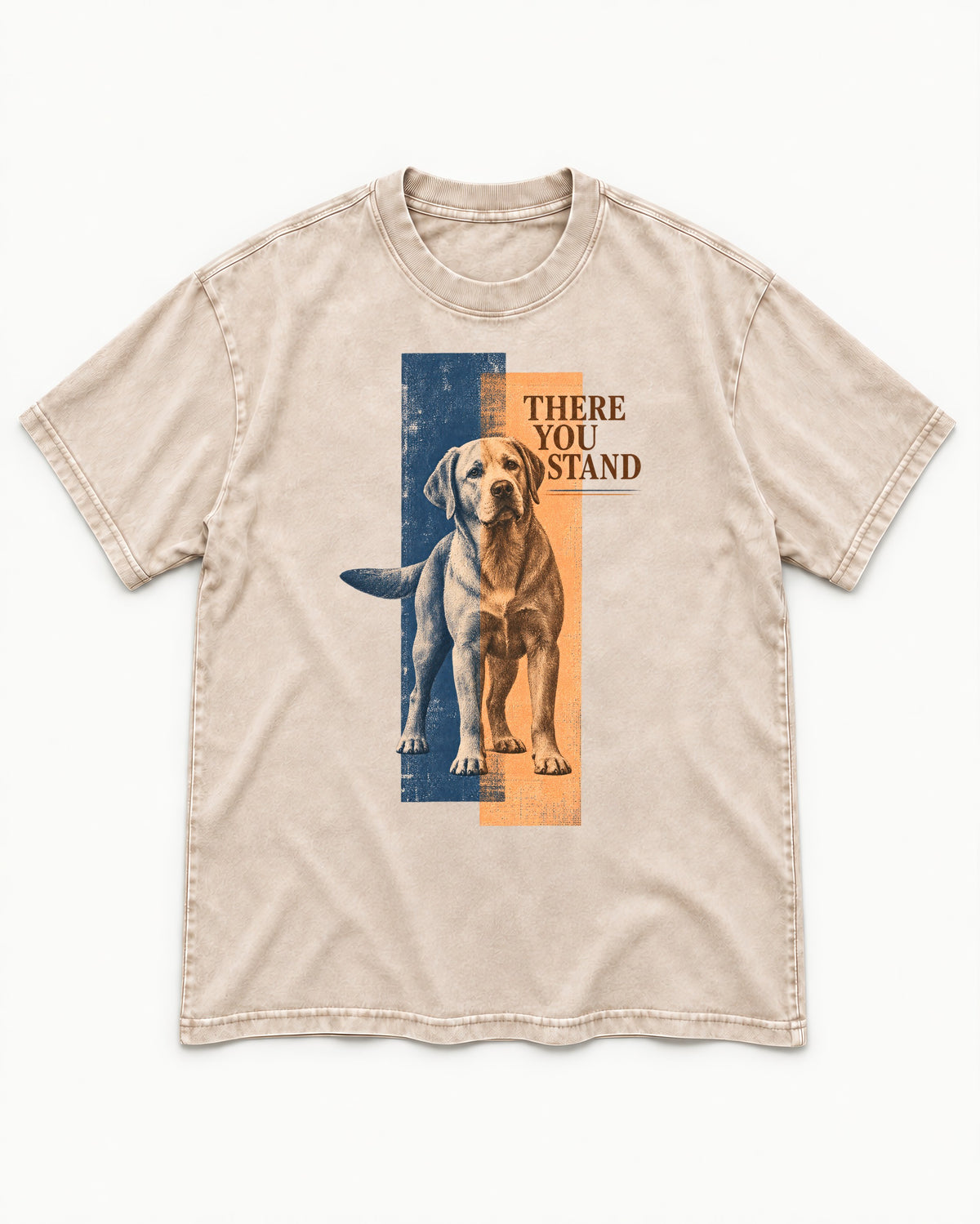 There You Stand Labrador Retriever Washed Tee in Apricot, flat lay product photo