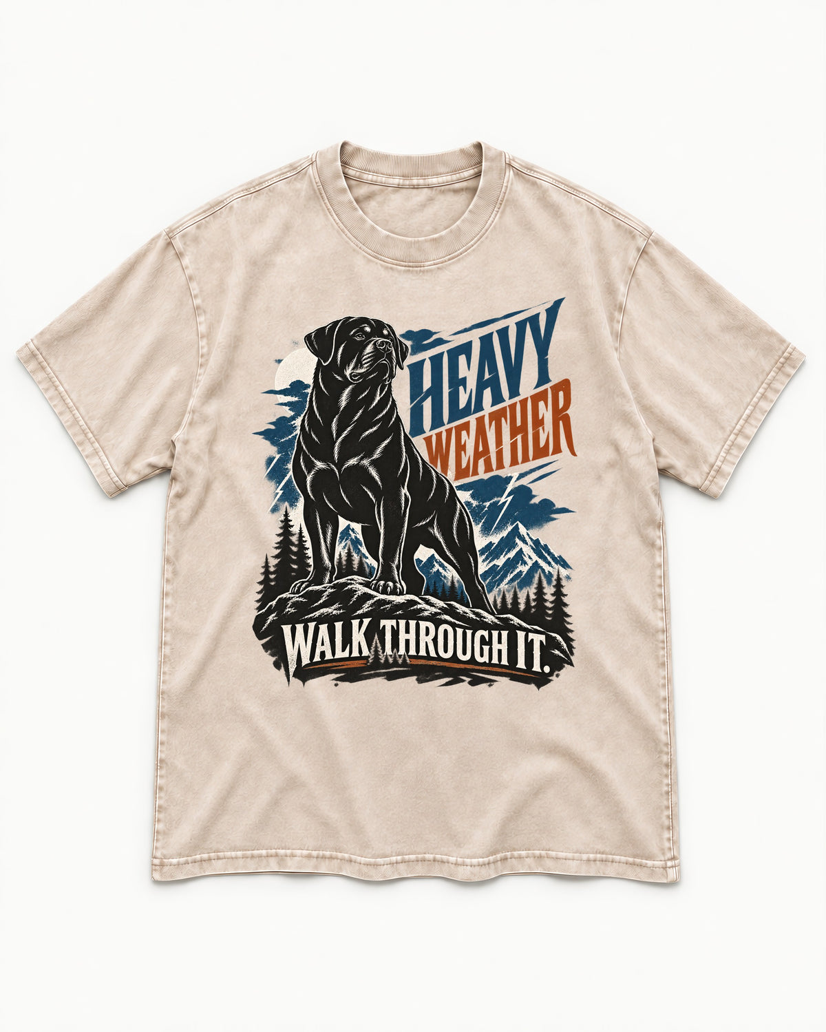 Heavy Weather Rottweiler Washed Tee in Apricot, flat lay product photo