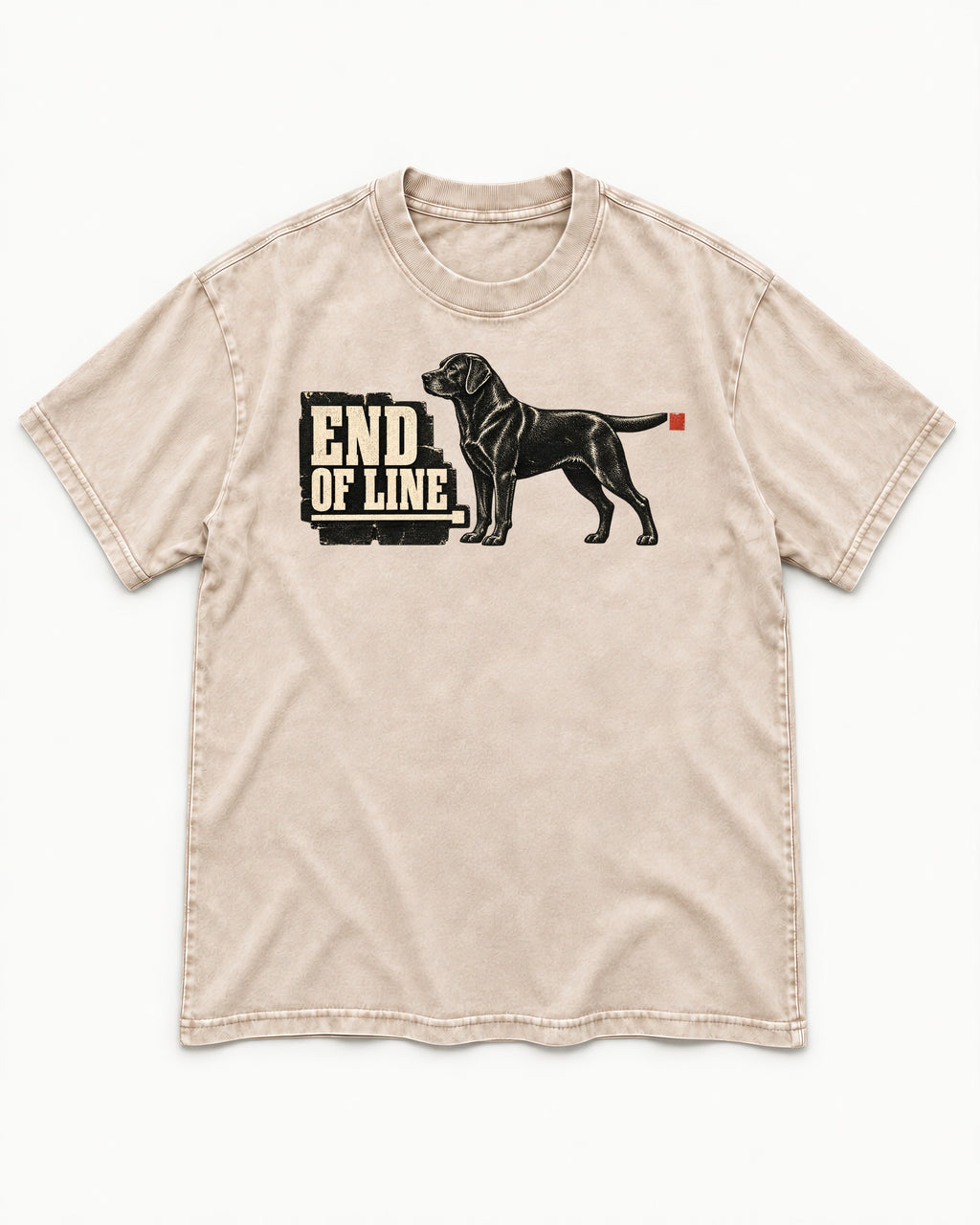 End of Line Labrador Retriever Washed Tee in Apricot, flat lay product photo