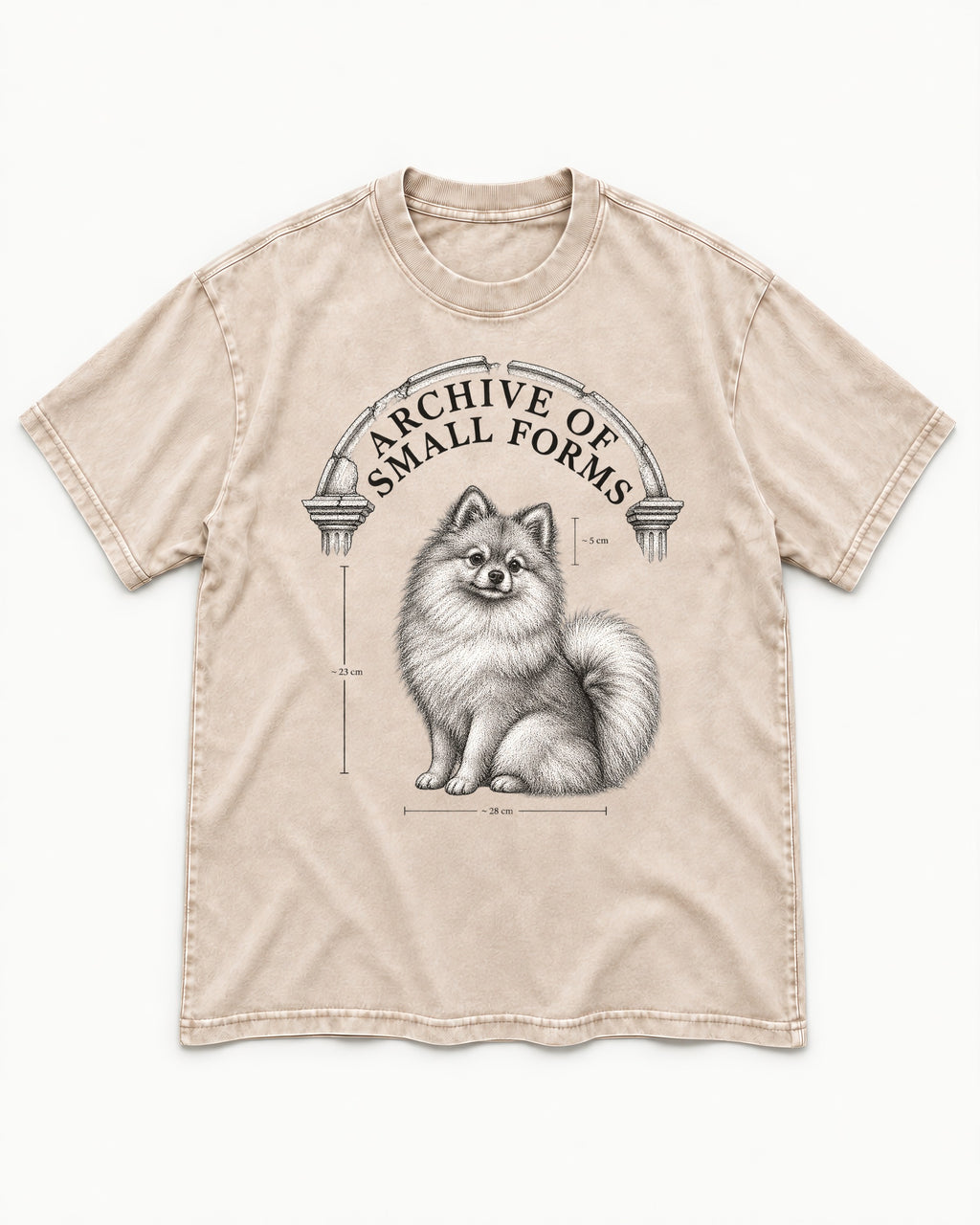 Pomeranian Archive of Small Forms Washed Tee in Apricot, flat lay product photo