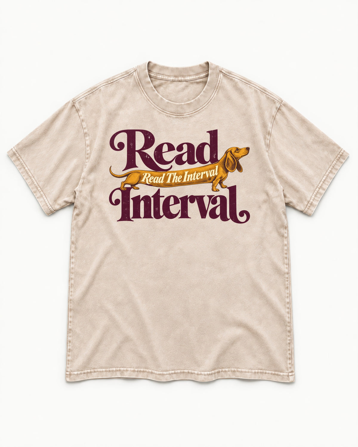 Read the Dachshund Interval Washed Tee in Apricot, flat lay product photo