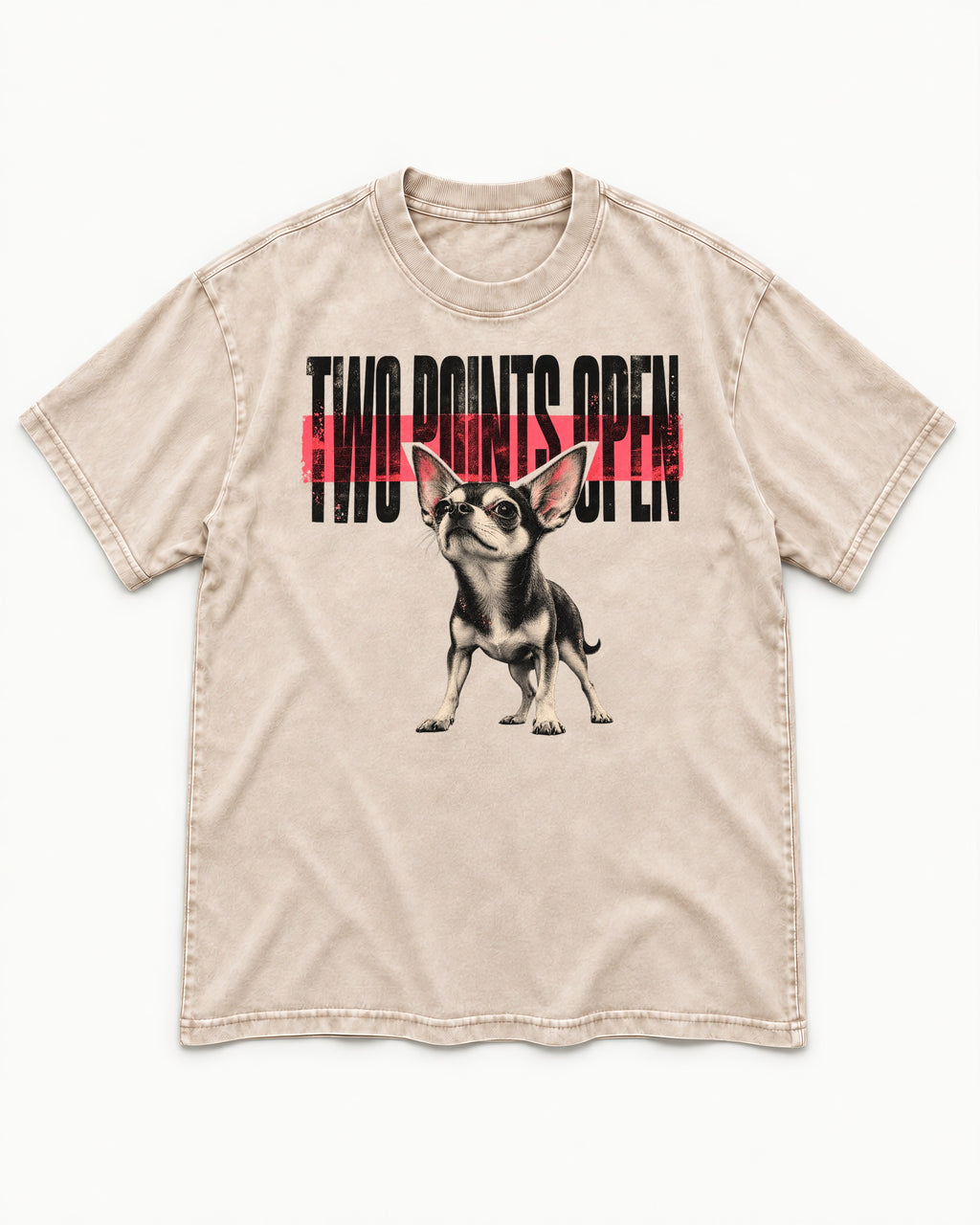Two Points Open Chihuahua Washed Tee in Apricot, flat lay product photo