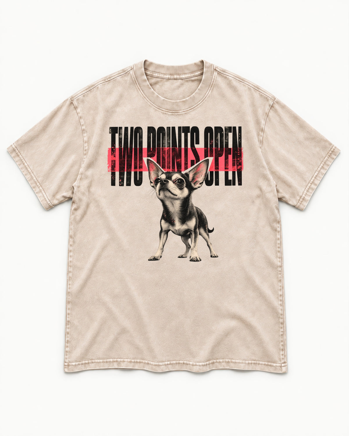 Two Points Open Chihuahua Washed Tee in Apricot, flat lay product photo