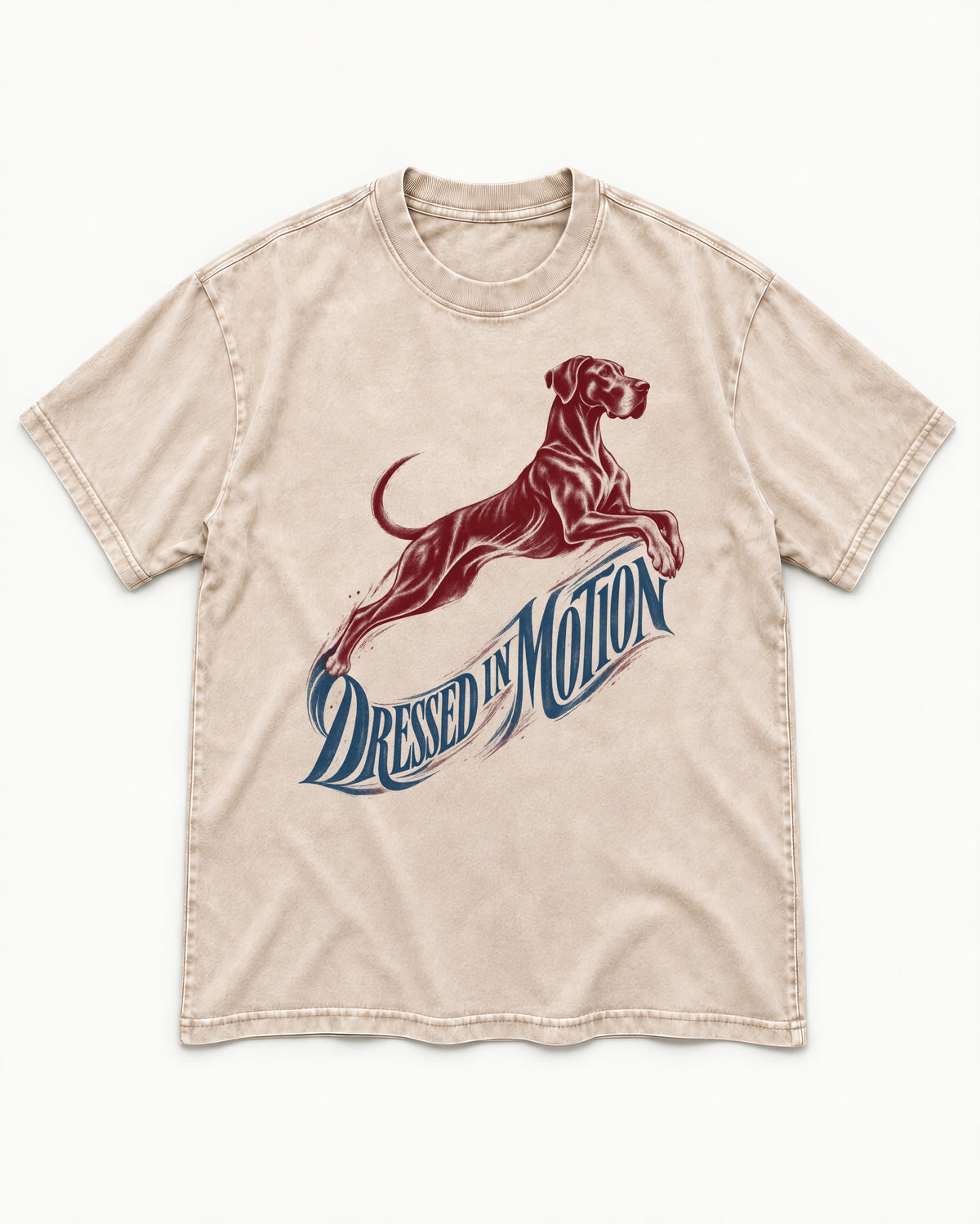 Great Dane Dressed in Motion Washed Tee in Apricot, flat lay product photo