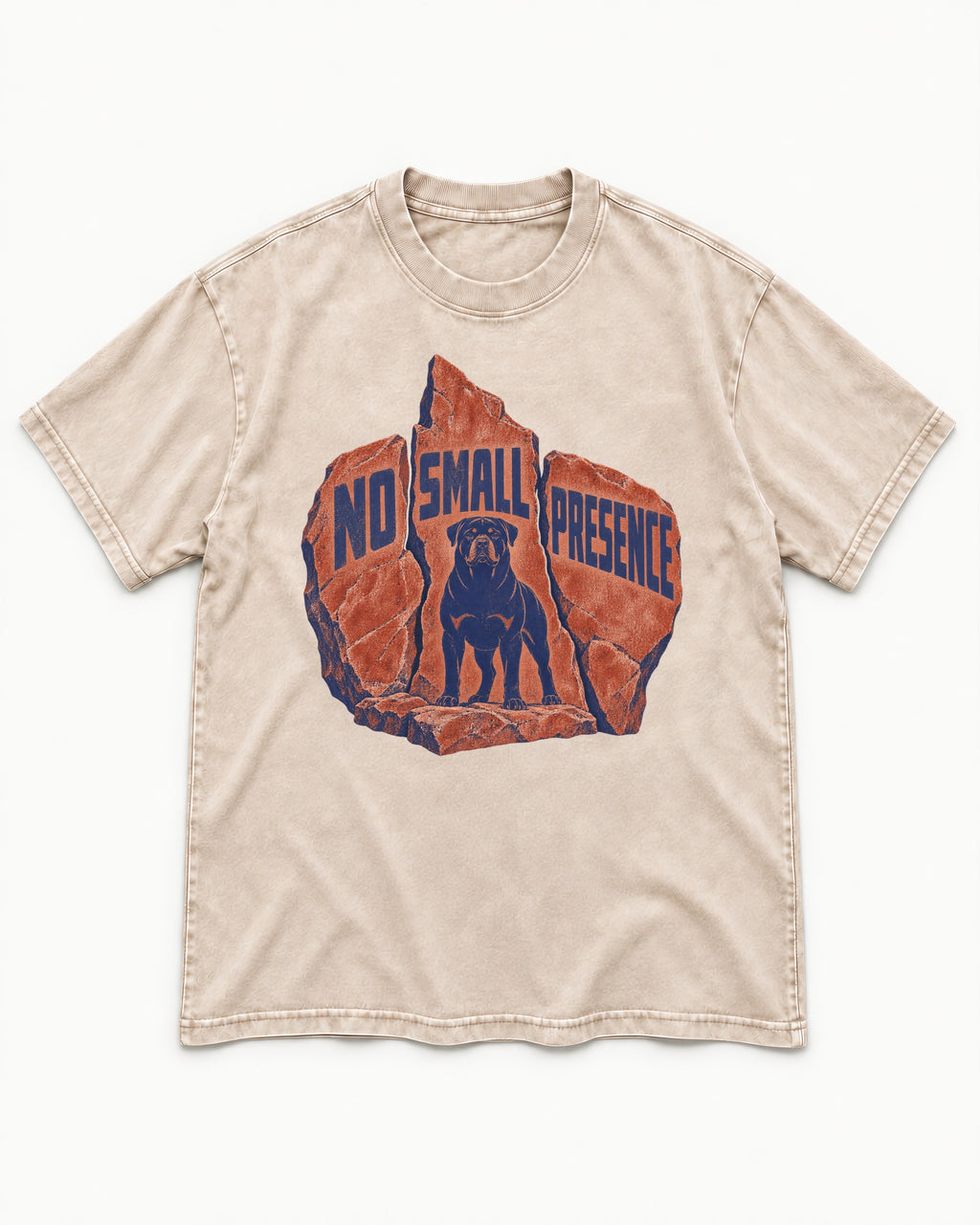 Rottweiler No Small Presence Monument Rock Graphic Washed Tee in Apricot, flat lay product photo
