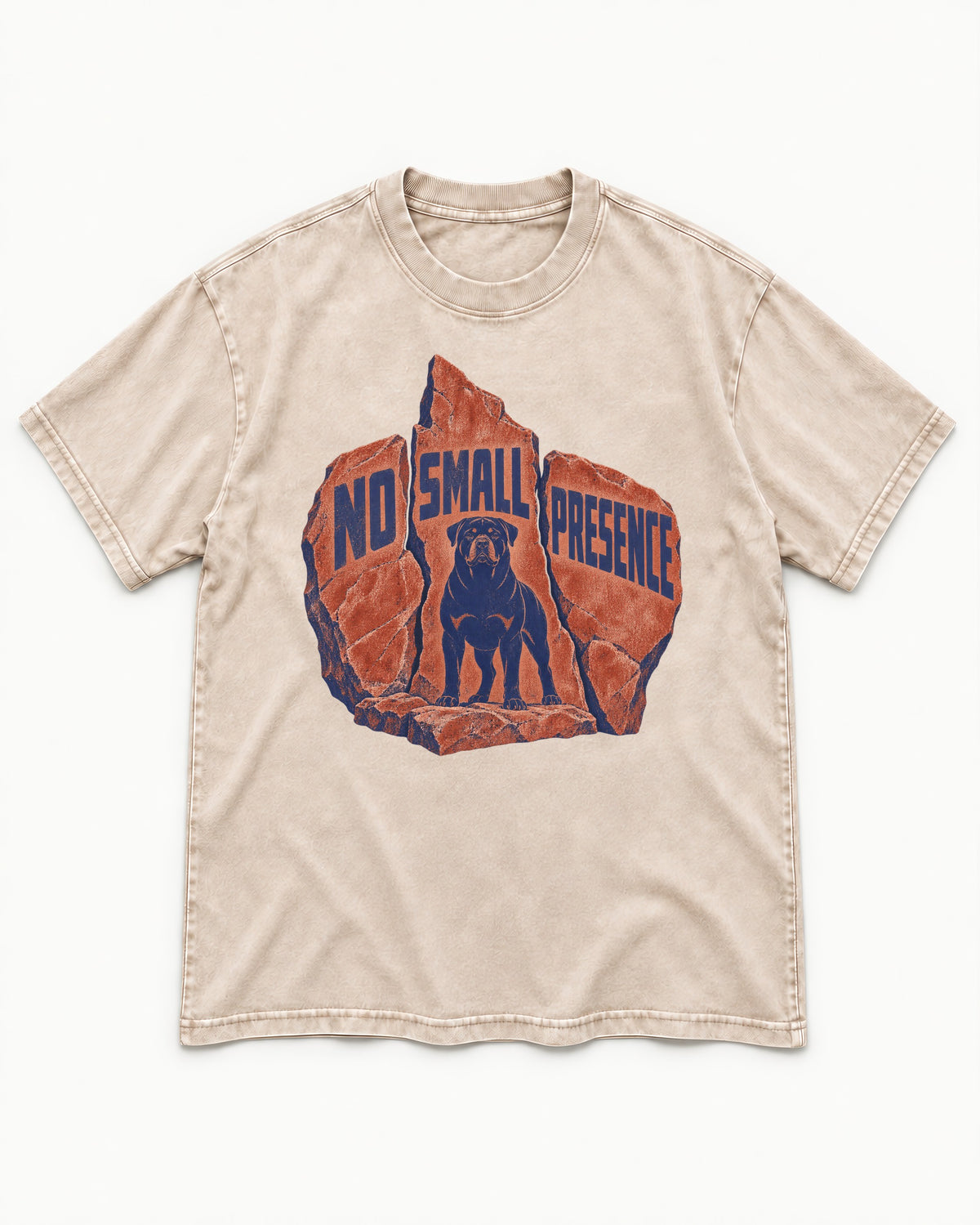 Rottweiler No Small Presence Monument Rock Graphic Washed Tee in Apricot, flat lay product photo