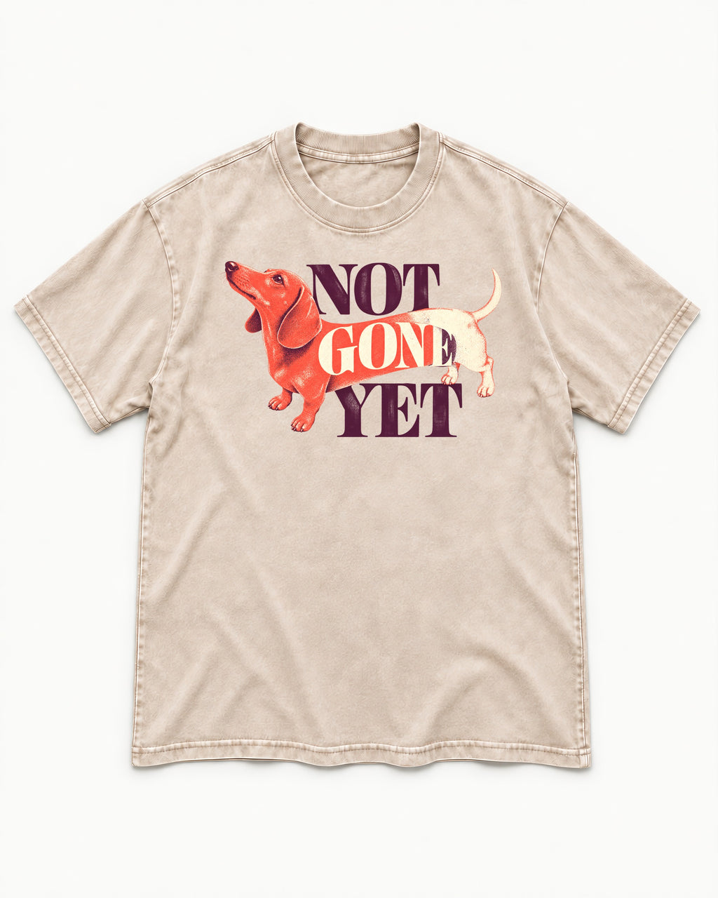Dachshund Not Gone Yet Washed Tee in Apricot, flat lay product photo
