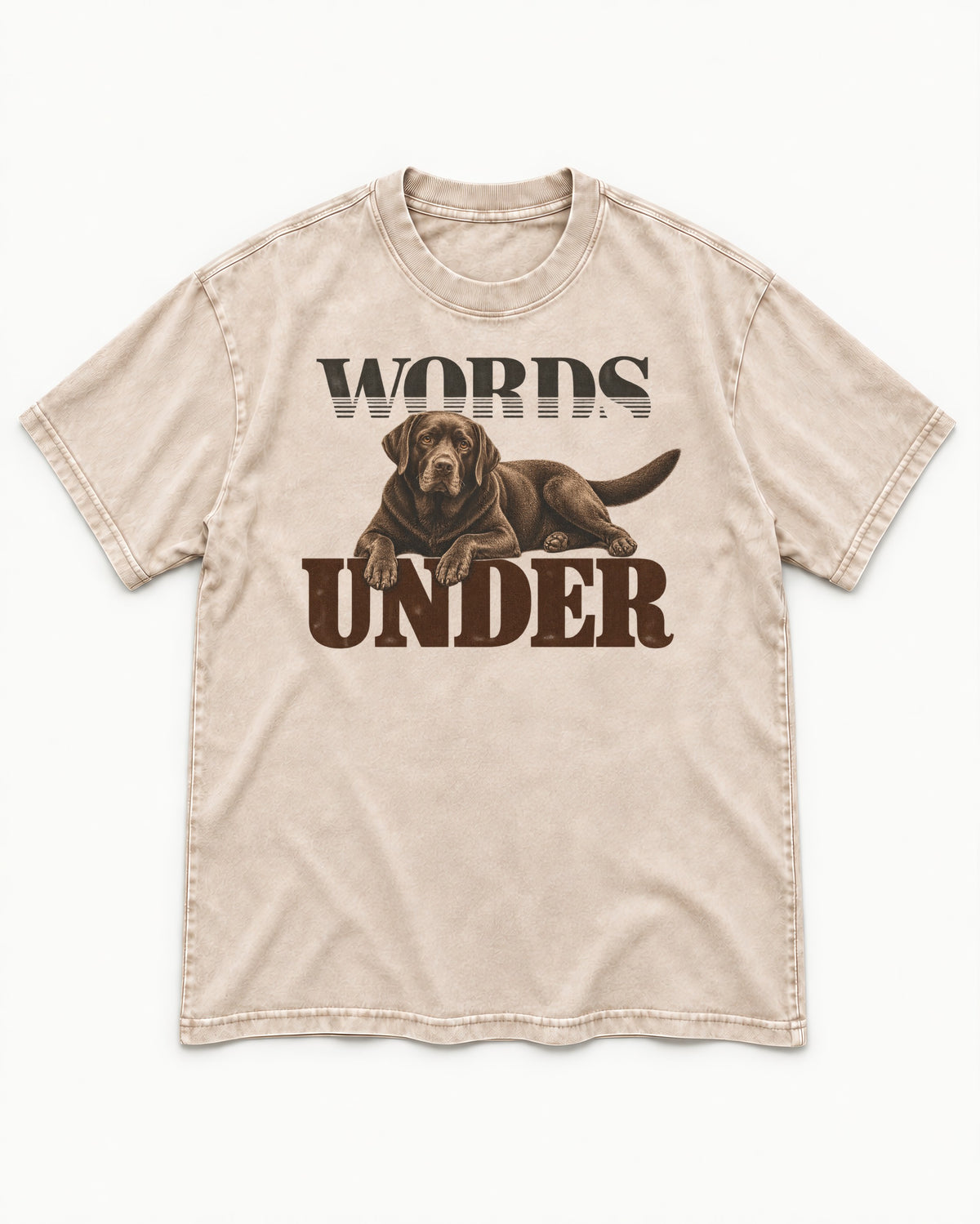 Words Under Labrador Retriever Washed Tee in Apricot, flat lay product photo