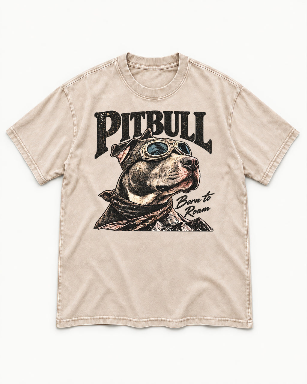 Pitbull Born to Roam Washed Tee in Apricot, flat lay product photo